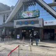 鯉