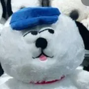 おもちの画像