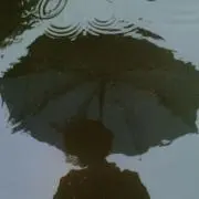 The huyの画像