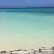 アリスタの画像