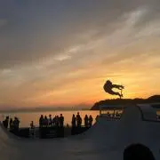 D1109の画像