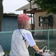 いともこの画像