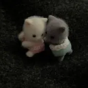 ⭐︎の画像