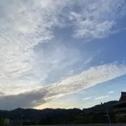 アジ漢 即購入ok