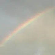 かこの画像