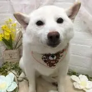 soramaruの画像