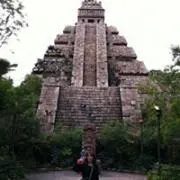 YTの画像