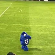 かずらーの画像