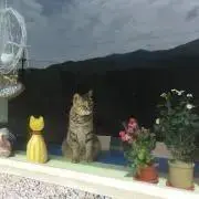 Kの画像