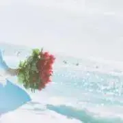 鈴木の画像