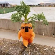 キャロットの画像