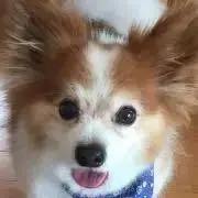 かきぴー[プロフィールご覧ください]の画像