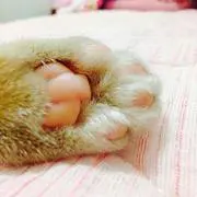 悠里