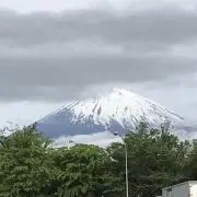 Hooちゃんの画像