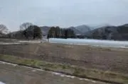 たーみーの画像
