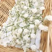 aiyam♡の画像