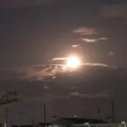 のんたんの画像