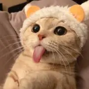 ukkの画像