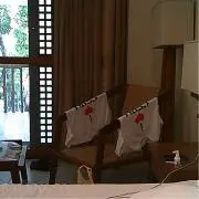 せぶの画像