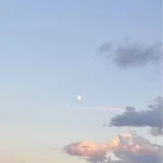 たまごの画像