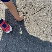 たかたかの画像