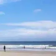 suke-99(同梱割りコメよりどうぞ)の画像