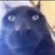 あかさたなの画像