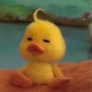 もみの画像