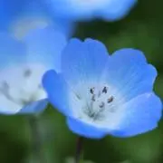 蒼 ご購入者様プロフ必読の画像