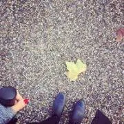 Berlinerの画像