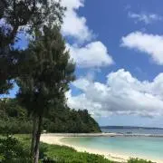 まりんの画像
