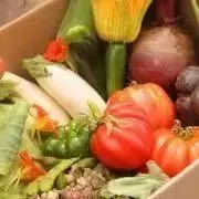 イル