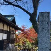 しょーたの画像