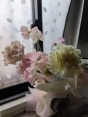 ハルるんの画像