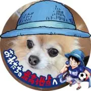 やすの画像