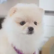 AKIBO＊プロフ必読＊の画像