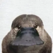 Nao chanḡ!!!の画像