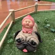 ゆーまなの画像