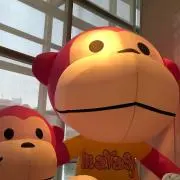 いっちぃの画像