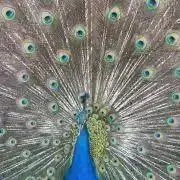 もんもる（プロフ見てね）の画像