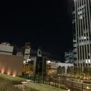 ハクの画像