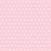 kittenの画像
