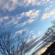 クマもん