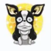 KnKの画像