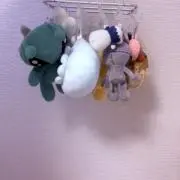 ククミの画像