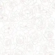 pの画像
