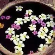 プロフ確認☆あーにゃの画像