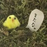 nakada★