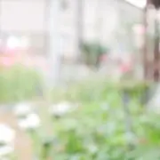 けいこの画像