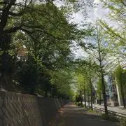 長さき